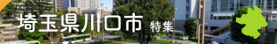 ʌsW